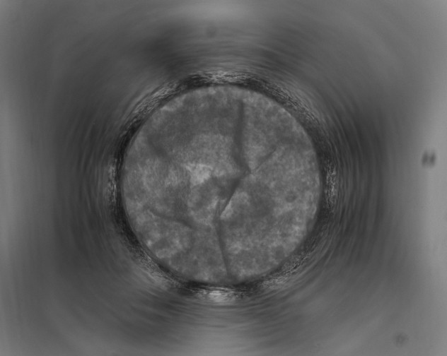 X0000097600506200803280954