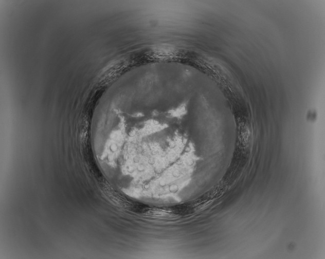 X0000097600507200803280954