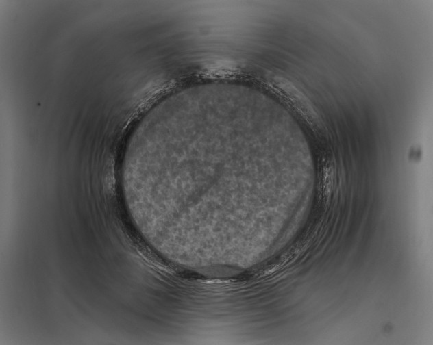 X0000097600508200803280954