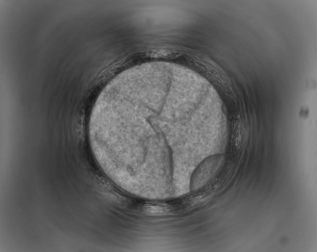 X0000097600510200803280954