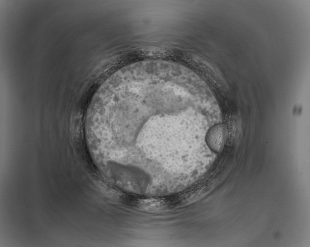 X0000097600511200803280954