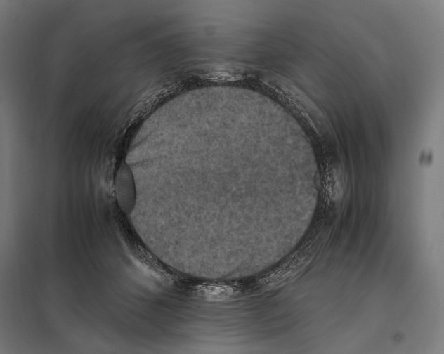 X0000097600512200803280954