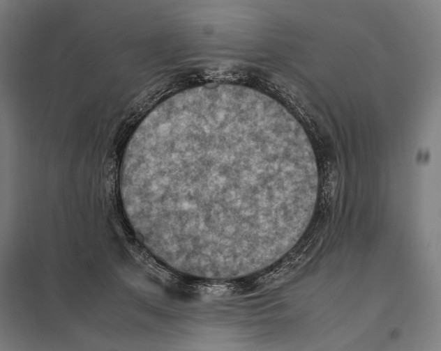 X0000097600513200803280954