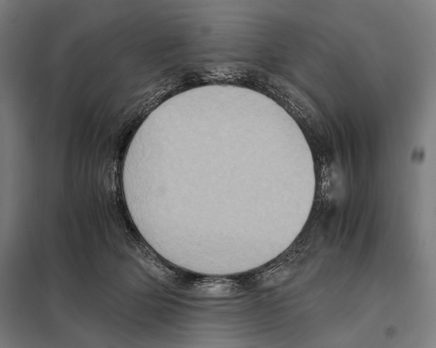 X0000097600514200803280954