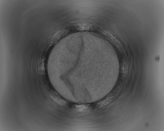 X0000097600516200803280954