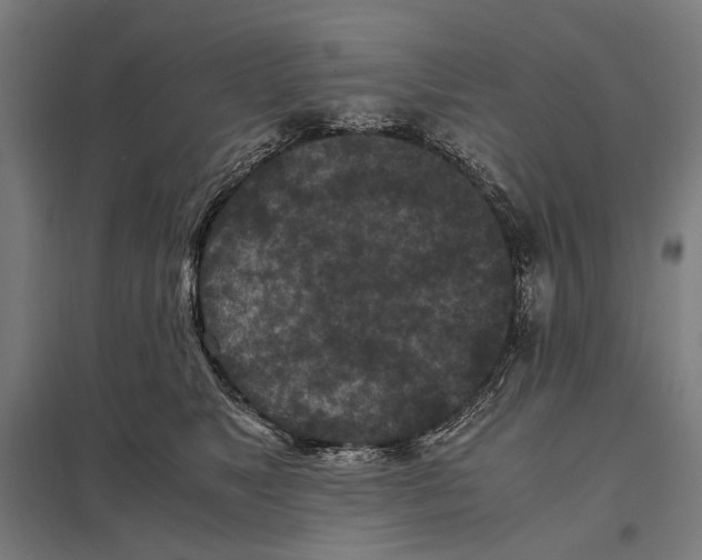 X0000097600517200803280954