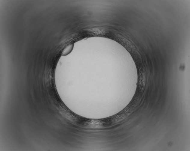 X0000097600518200803280954