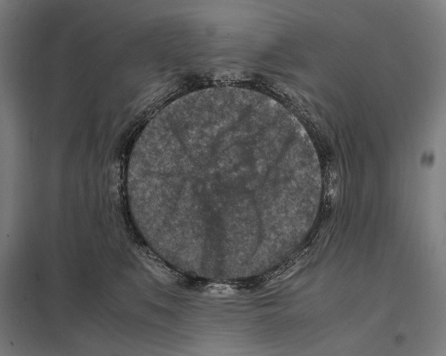 X0000097600519200803280954