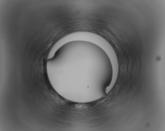 X0000097600520200803280953