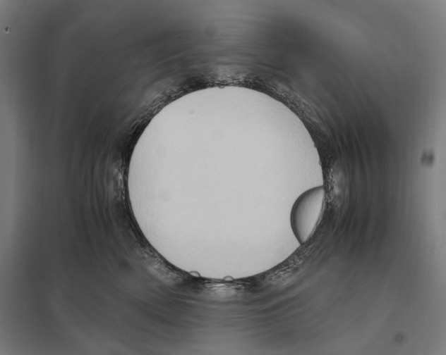 X0000097600522200803280953