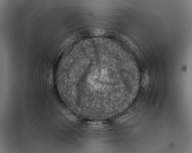 X0000097600524200803280953