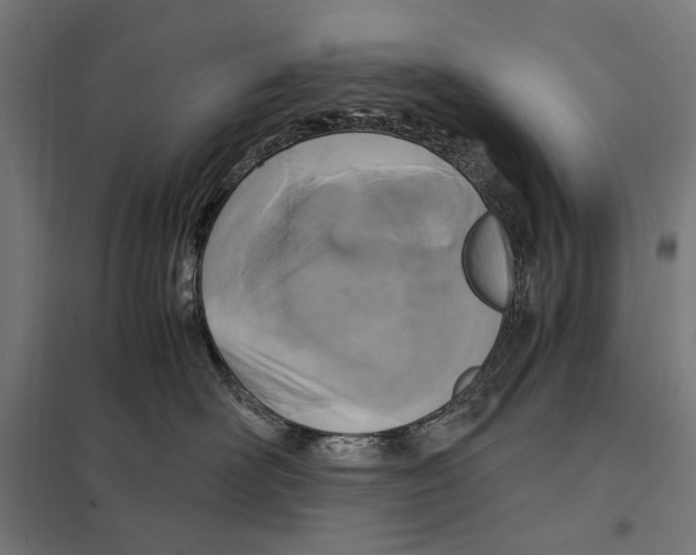 X0000097600526200803280953