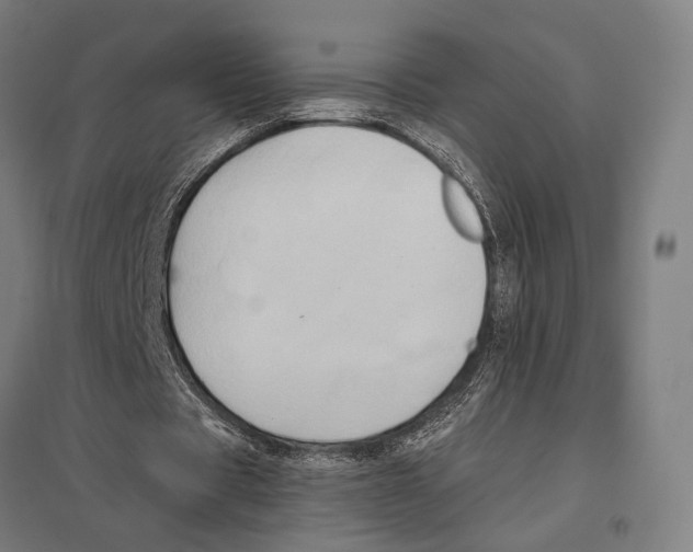 X0000097600529200803280953