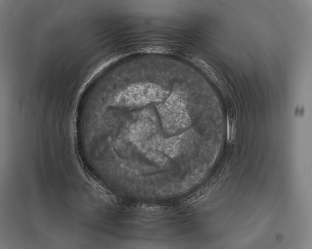 X0000097600531200803280953