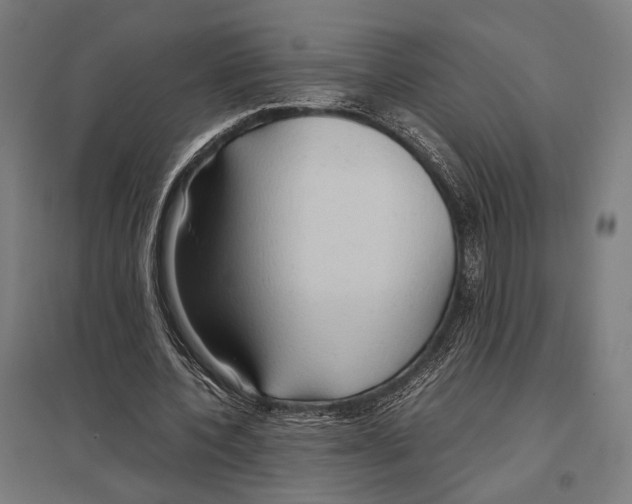 X0000097600532200803280953