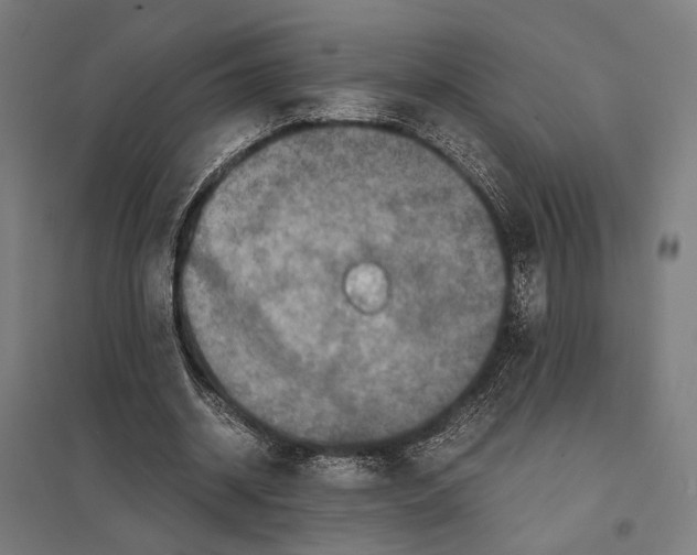 X0000097600534200803280953