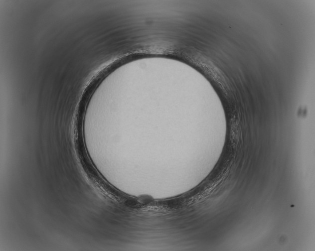 X0000097600536200803280953