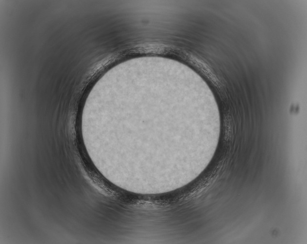 X0000097600538200803280953