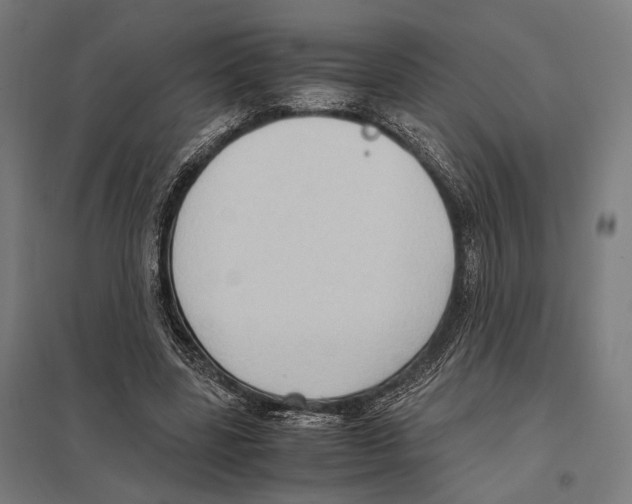 X0000097600539200803280953