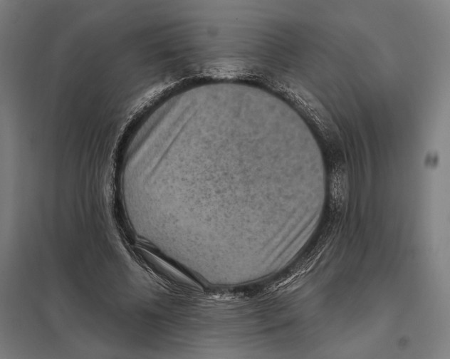 X0000097600540200803280953