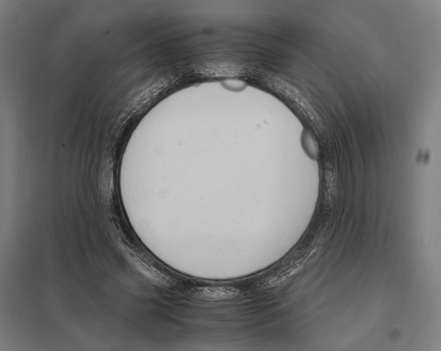 X0000097600541200803280953