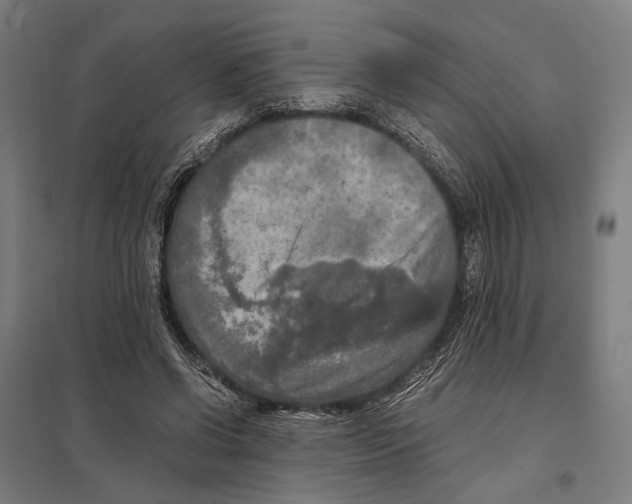 X0000097600542200803280953