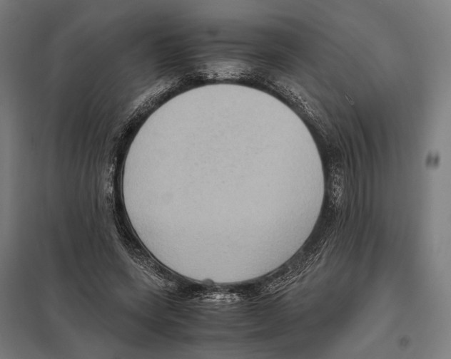 X0000097600543200803280953