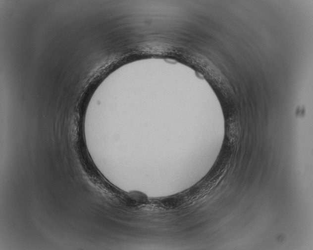 X0000097600544200803280953