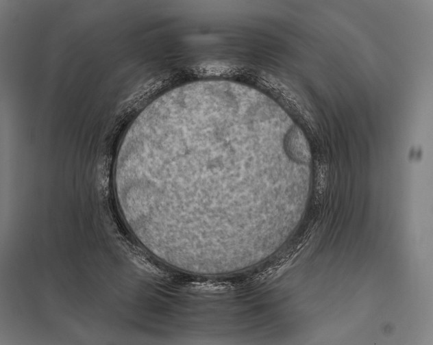 X0000097600545200803280953