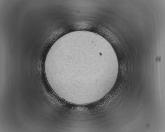 X0000097600546200803280953