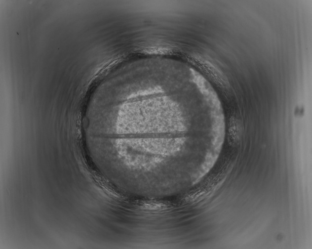 X0000097600547200803280953