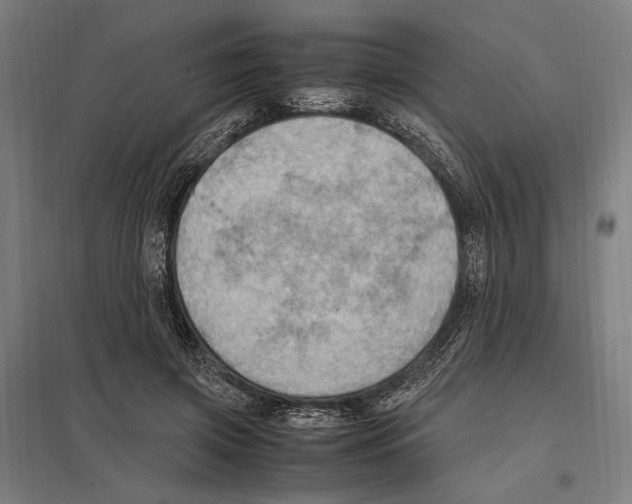 X0000097600549200803280953