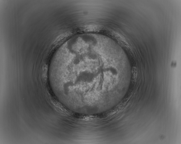 X0000097600550200803280953