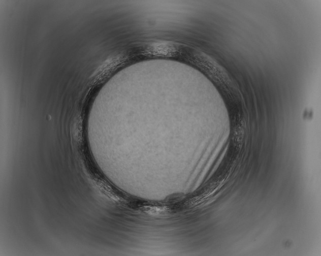 X0000097600552200803280953