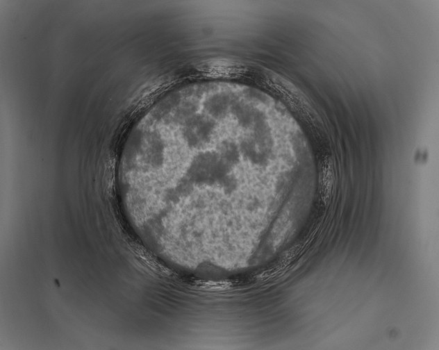 X0000097600554200803280953