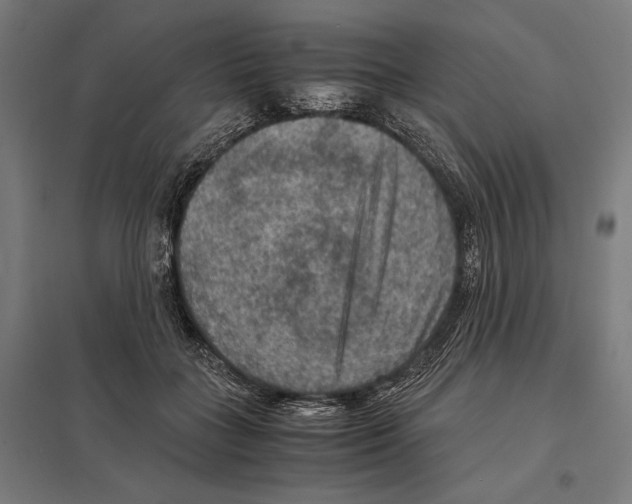 X0000097600555200803280953