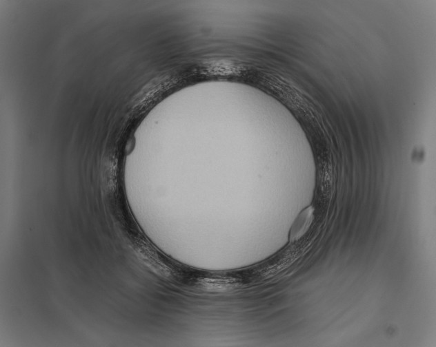 X0000097600556200803280953