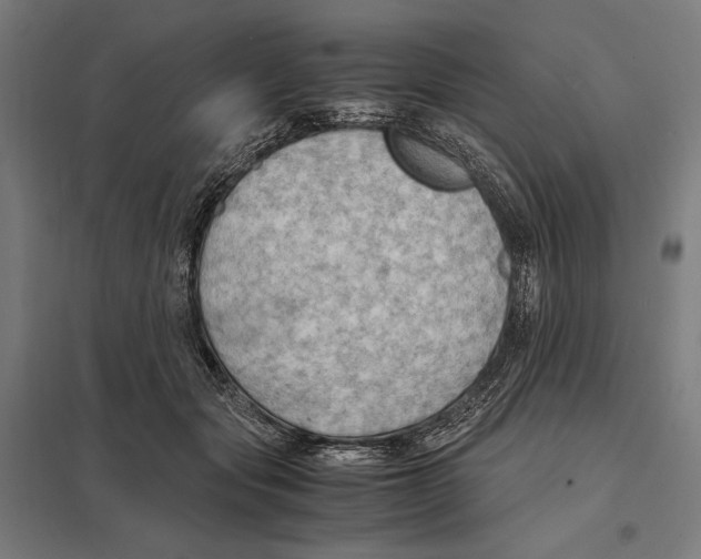 X0000097600557200803280953