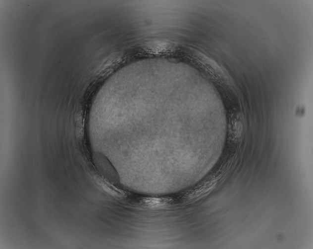 X0000097600558200803280953