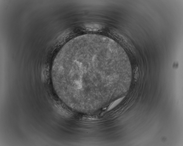 X0000097600559200803280953