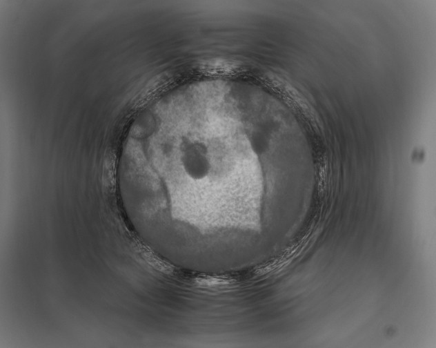 X0000097600561200803280953