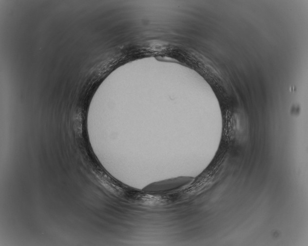 X0000097600562200803280953