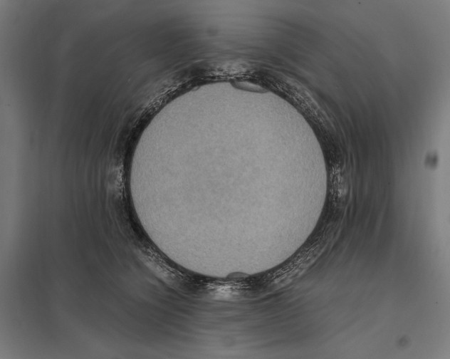 X0000097600564200803280953