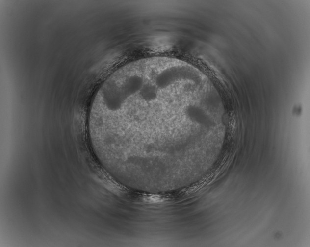 X0000097600565200803280953