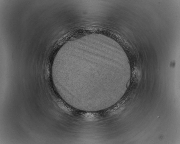 X0000097600566200803280953