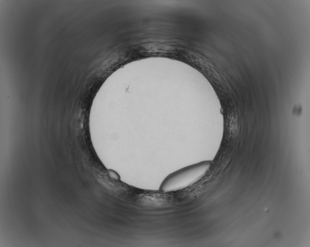 X0000097600567200803280953