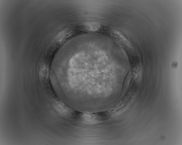 X0000097600568200803280953