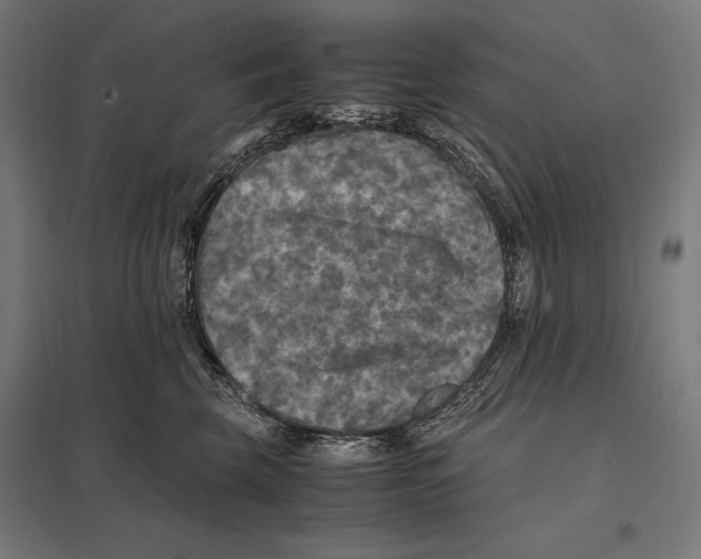 X0000097600569200803280953