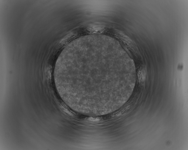 X0000097600570200803280953