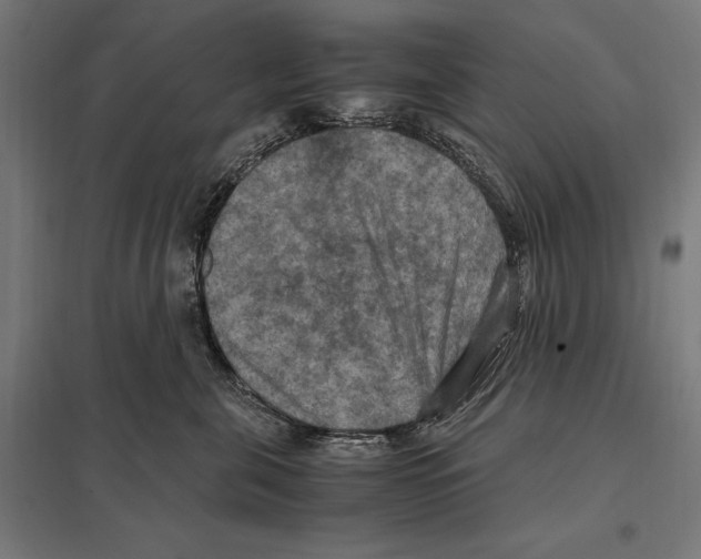 X0000097600571200803280953